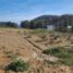  Land for sale in Chile, Tome, Concepción, Biobío, Chile