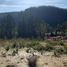  Land for sale in Chile, Tome, Concepción, Biobío, Chile