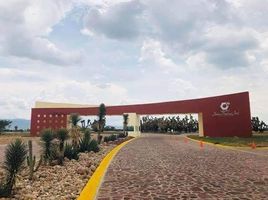  Grundstück zu verkaufen in Villa De Reyes, San Luis Potosi, Villa De Reyes