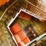 3 Habitación Casa en venta en Temixco, Morelos, Temixco
