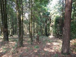 Studio Villa zu verkaufen in Amanalco, Mexico, Amanalco, Mexico