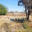  Land for sale in Celaya, Guanajuato, Celaya
