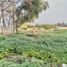  Terreno (Parcela) en venta en Cordillera, Santiago, Pirque, Cordillera