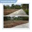  Land for sale in Dramaga, Bogor, Dramaga