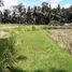  Land for sale in Tampak Siring, Gianyar, Tampak Siring