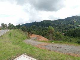  Terreno (Parcela) en venta en Rionegro, Antioquia, Rionegro