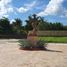  Land for sale in Compostela, Nayarit, Compostela