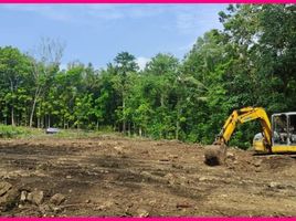  Land for sale in Sedayu, Bantul, Sedayu