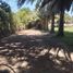  Land for sale in Chile, Paine, Maipo, Santiago, Chile