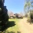  Land for sale in Biobío Biobío, Los Angeles