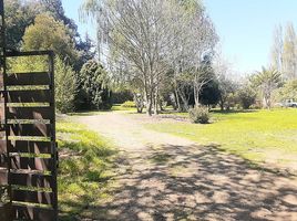  Land for sale in Biobío Biobío, Los Angeles
