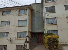3 Habitación Apartamento en venta en Valparaíso, Quilpue, Valparaíso, Valparaíso