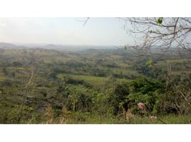  Terreno (Parcela) en venta en La Chorrera, Panamá Oeste, El Coco, La Chorrera