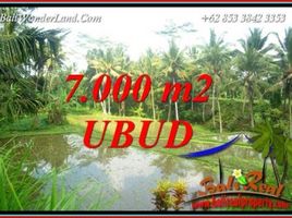  Land for sale in Tampak Siring, Gianyar, Tampak Siring