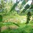  Land for sale in Tampak Siring, Gianyar, Tampak Siring