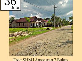  Land for sale in Banyuwangi, East Jawa, Gambiran, Banyuwangi