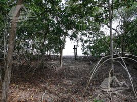  Grundstück zu verkaufen in Lazaro Cardenas, Quintana Roo, Lazaro Cardenas