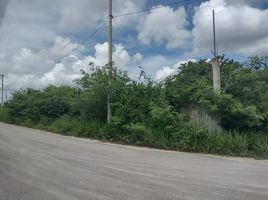 Terrain à vendre à Progreso, Yucatan, Progreso