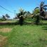  Land for sale in Selemadeg, Tabanan, Selemadeg