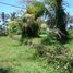  Land for sale in Selemadeg, Tabanan, Selemadeg