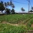  Land for sale in Selemadeg, Tabanan, Selemadeg