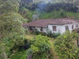  Land for sale in Envigado, Antioquia, Envigado