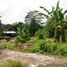  Land for sale in Yogyakarta, Kasihan, Bantul, Yogyakarta