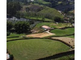  Land for sale in El Carmen De Viboral, Antioquia, El Carmen De Viboral