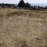  Land for sale in Omitlan De Juarez, Hidalgo, Omitlan De Juarez