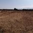  Land for sale in Omitlan De Juarez, Hidalgo, Omitlan De Juarez