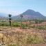  Land for sale in Garut, West Jawa, Karangpawitan, Garut