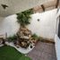 4 Schlafzimmer Haus zu verkaufen in Coyoacan, Mexico City, Coyoacan