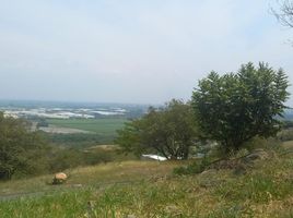  Land for sale in Palmira, Valle Del Cauca, Palmira