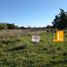  Land for sale in Brandsen, Buenos Aires, Brandsen