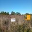  Land for sale in Brandsen, Buenos Aires, Brandsen