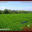  Land for sale in Selemadeg, Tabanan, Selemadeg