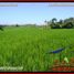  Land for sale in Selemadeg, Tabanan, Selemadeg