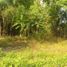  Land for sale in Depok, Sleman, Depok