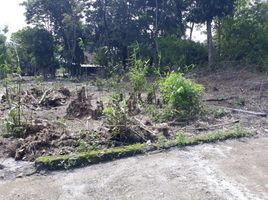  Land for sale in Kalasan, Sleman, Kalasan