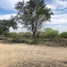  Land for rent in Apodaca, Nuevo Leon, Apodaca