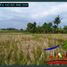  Land for sale in Tabanan Bali, Kerambitan