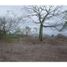  Land for sale in Montecristi, Manabi, Montecristi, Montecristi