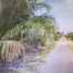  Land for sale in Pancang Bedena, Selangor, Pancang Bedena, Sabak Bernam