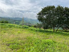  Land for sale in Manizales, Caldas, Manizales