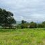  Land for sale in Caldas, Manizales, Caldas