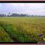  Land for sale in Pura Tanah Lot, Kediri, Kediri