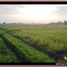  Land for sale in Pura Tanah Lot, Kediri, Kediri