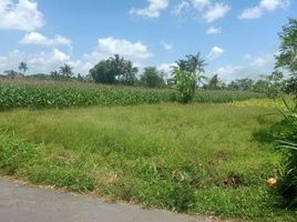  Terreno (Parcela) en venta en Sleman, Yogyakarta, Sleman, Sleman