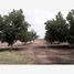  Land for sale in Matamoros, Coahuila, Matamoros