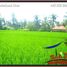  Land for sale in Ubud, Gianyar, Ubud